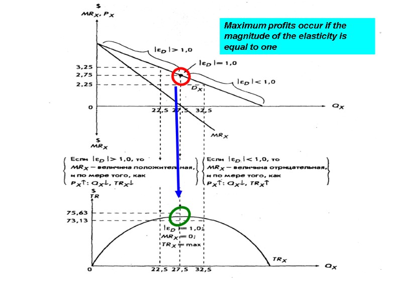 Maximum profits occur if the magnitude of the elasticity is equal to one 6